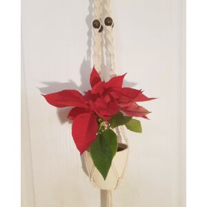 Rusztikus makramé virágtartó, bézs pamutfonalból, 100 cm